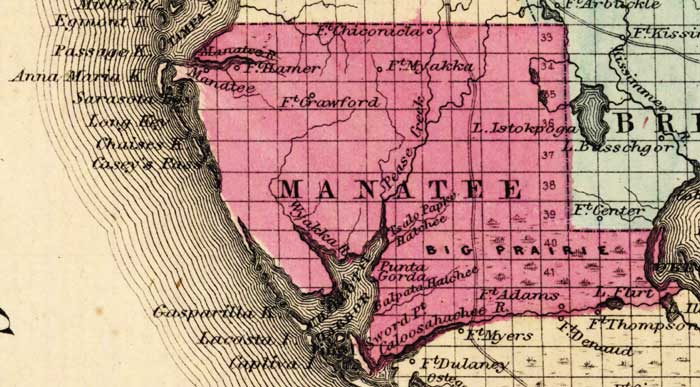 Map of Manatee County, Florida, 1863