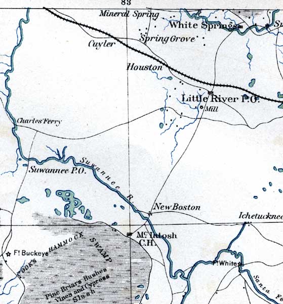 Map of Suwannee County, Florida, 1865