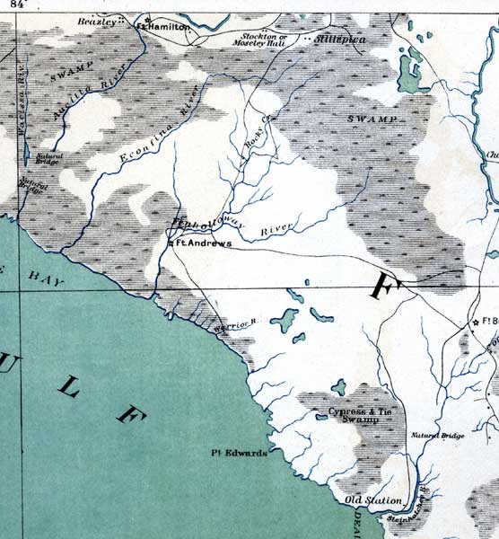Map of Taylor County, Florida, 1865