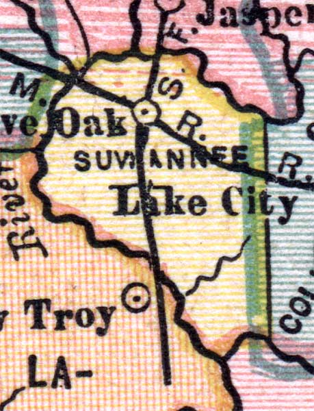 Map of Suwannee County, Florida, 1880