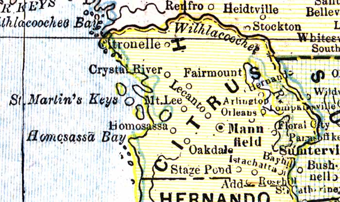Map of Citrus County, Florida, 1890