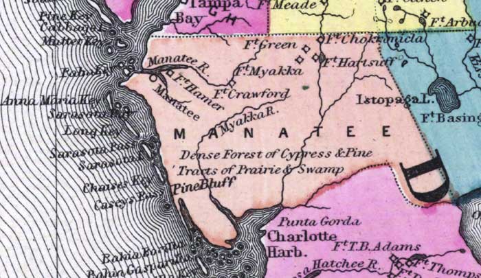 Map of Manatee County, Florida, 1873
