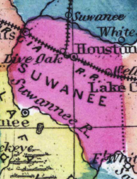 Map of Suwannee County, Florida, 1873