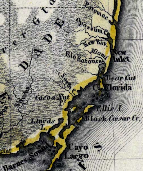 Map of Miami-Dade County, Florida, 1850