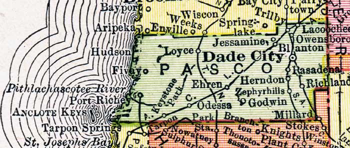 Map of Pasco County, Florida, 1917