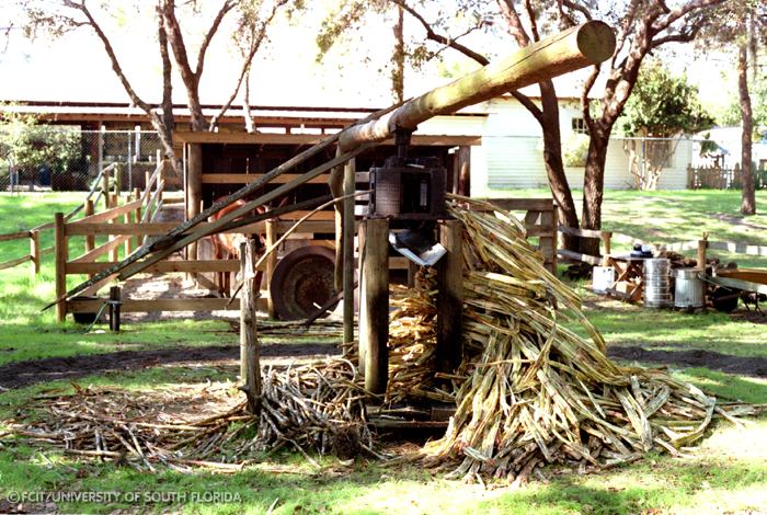Sugar cane mill