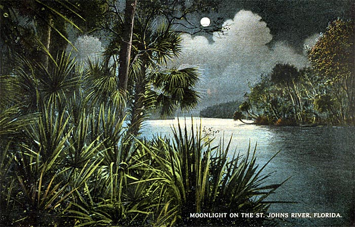 Moonlight on the River, St. Johns River, Florida