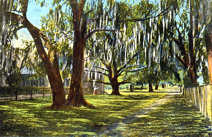 Old Oak Drive, St. Johns River, Florida