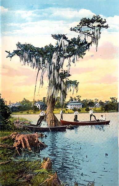 Scene on the Banks, St. Johns River, Florida