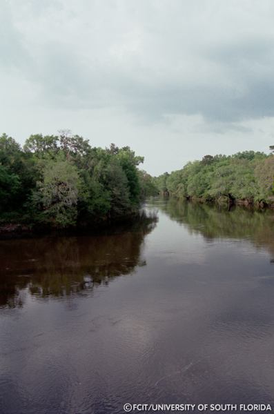 View of the river