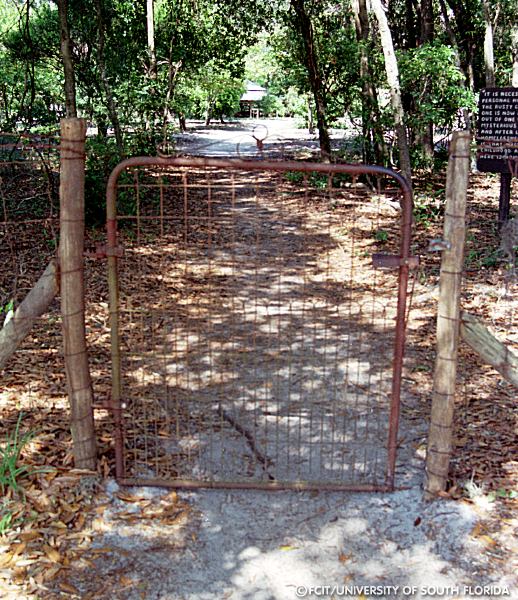 Gate to the citrus grove