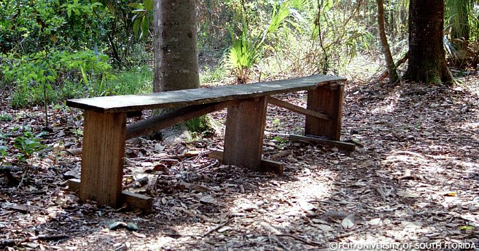 Wooden bench on the nature trail
