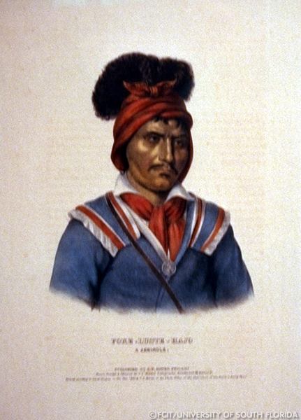 Seminole Indian