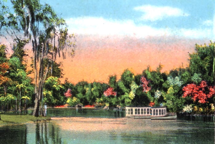 At the Springs, Silver Springs, Florida
