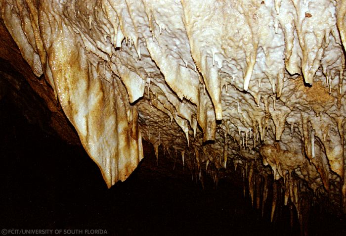 Stalactites