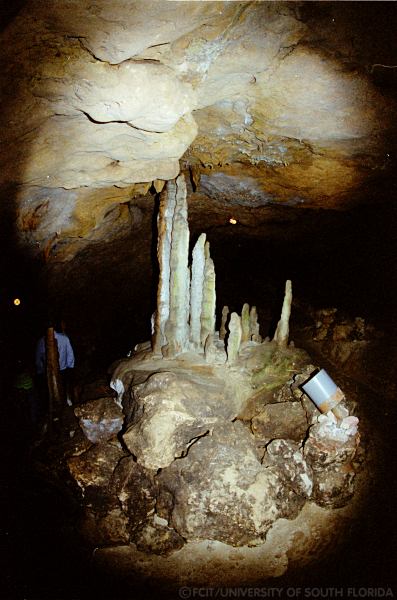 Stalagmites