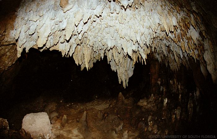 Stalactites