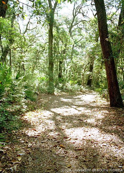 View of the nature trail
