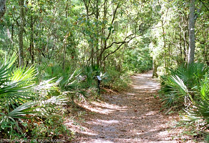 View of the nature trail