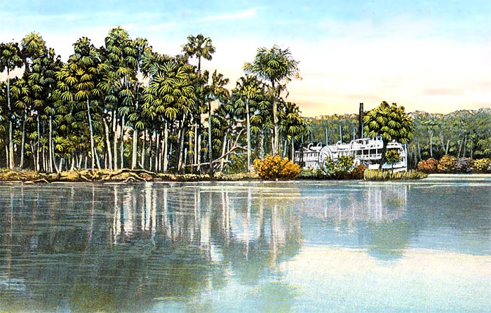 Tropical Scenery, St. Johns River, Florida