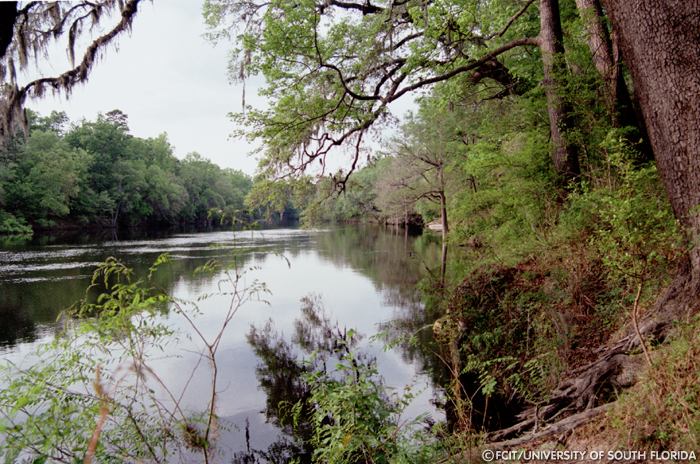 View of the river