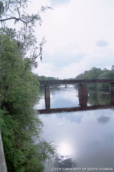 View of the river