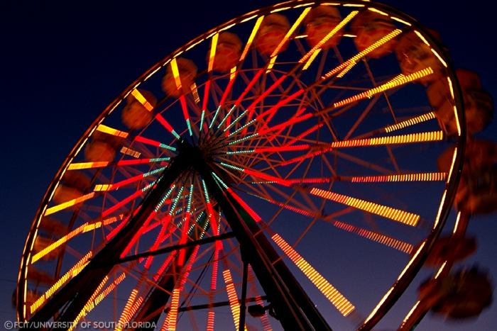 Ferris Wheel