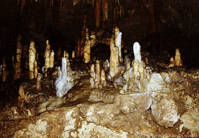 Stalagmites