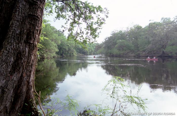 View of the river