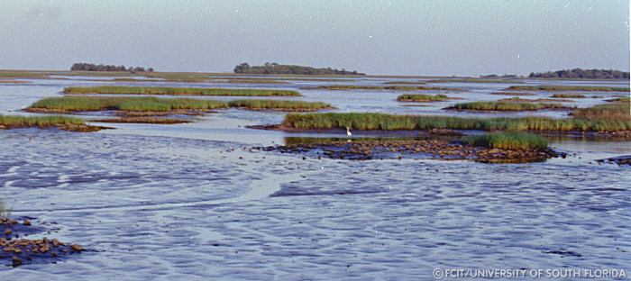 Scenic view of the water
