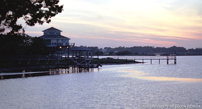 Extended dock