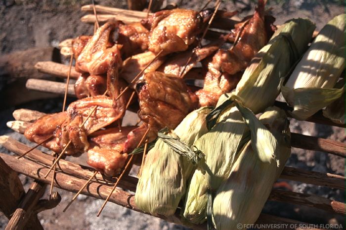 Detail of chicken and corn
