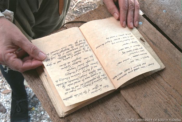 Detail of a book