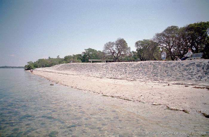 View of the shore