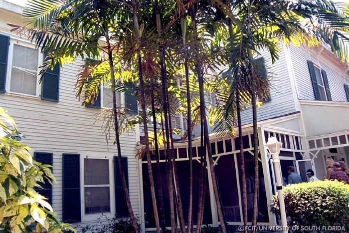 The Edison home