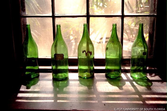 Antique bottles