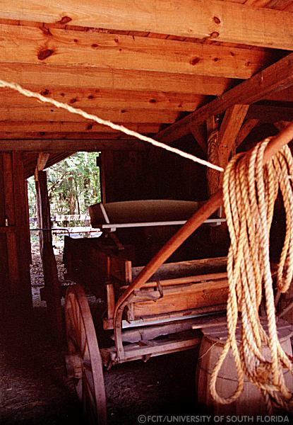 Wagon