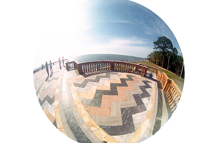 Fisheye view