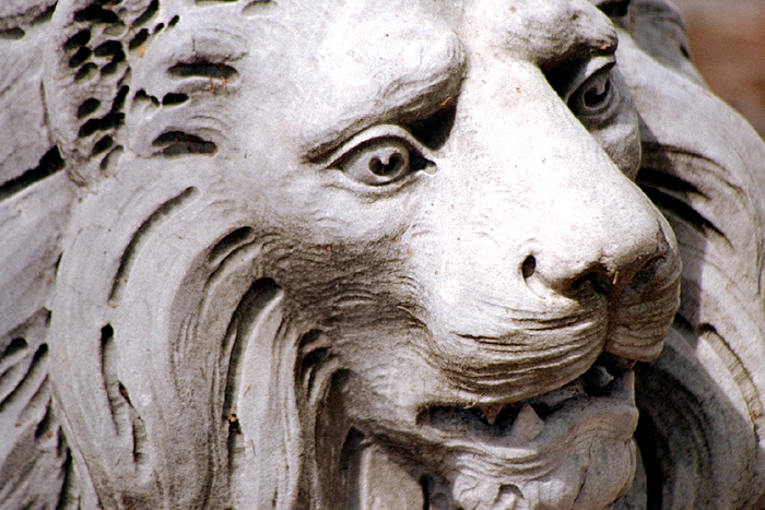 Detail 