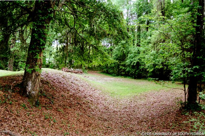 Confederate earthworks