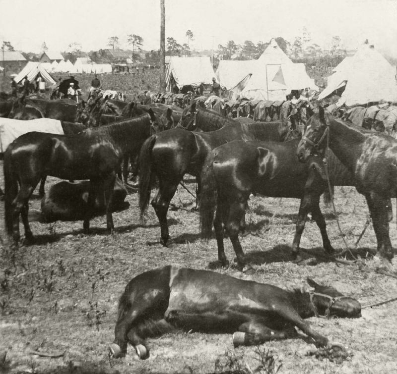 General Miles' Transportation Train