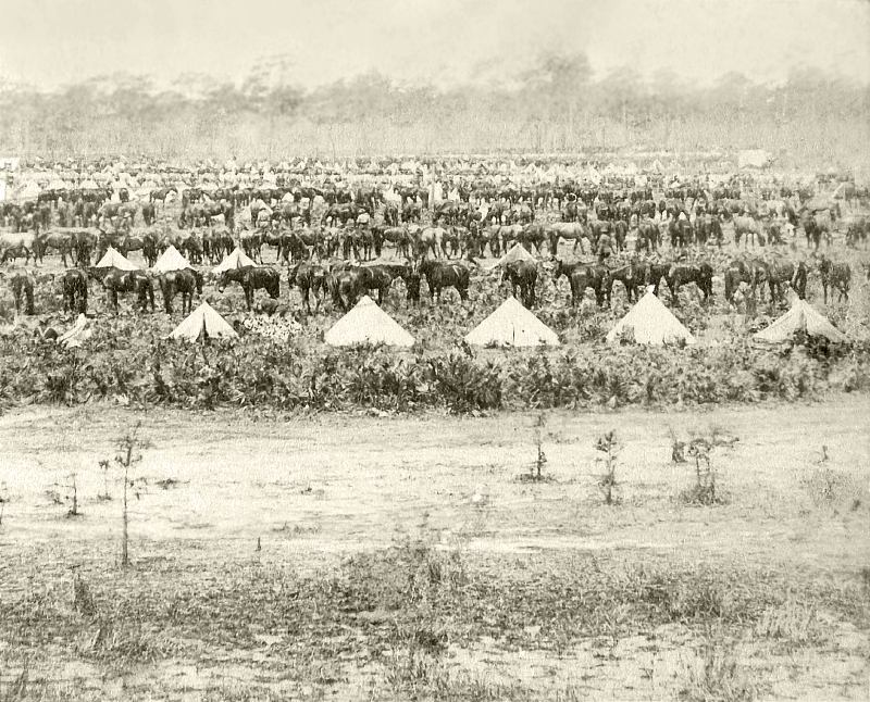 Rough Riders Camp