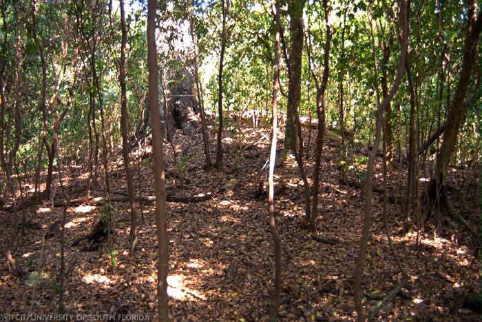 Mound