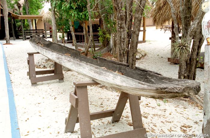 Dugout canoe
