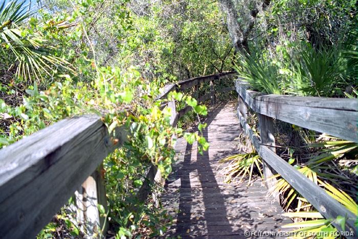 Boardwalk