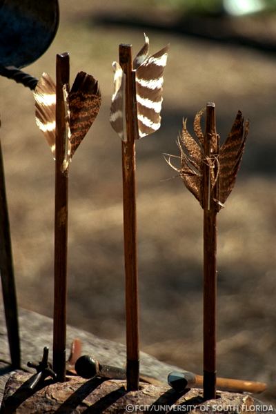 Arrows