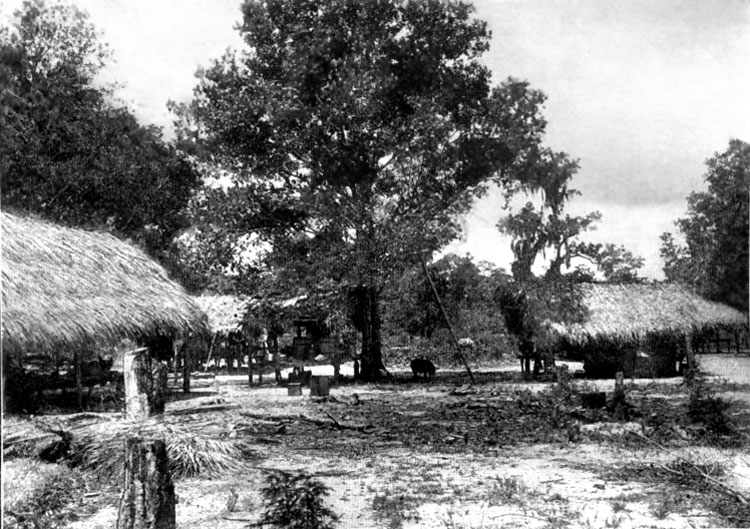 seminole village
