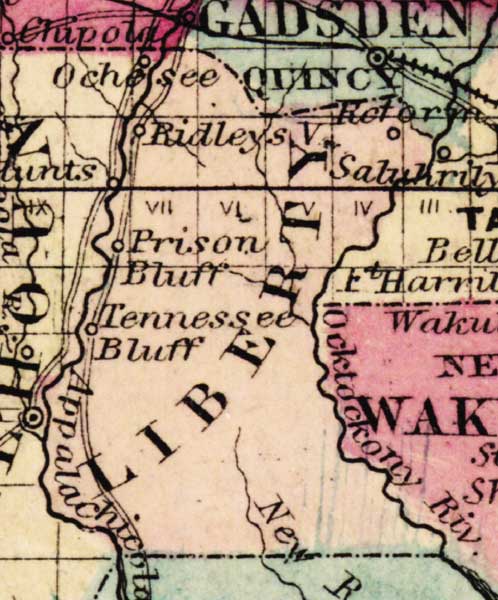 Map of Liberty County, Florida, 1863