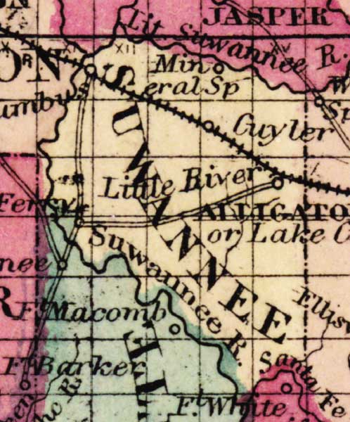 Map of Suwannee County, Florida, 1863