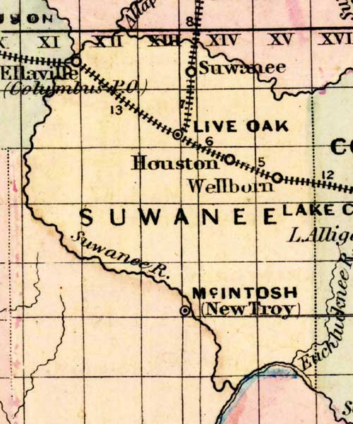Map of Suwannee County, Florida, 1877